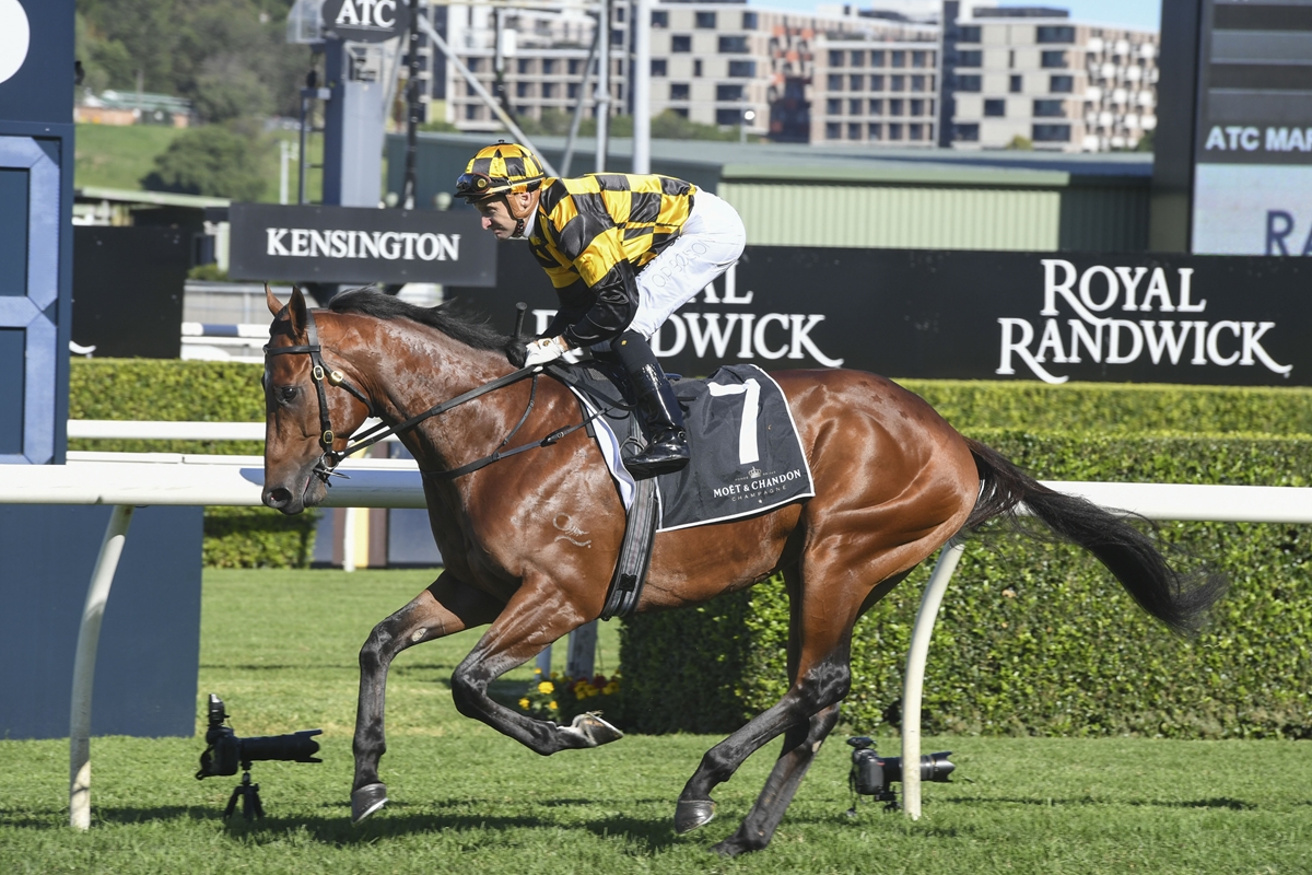 Pike quartet Queensland bound